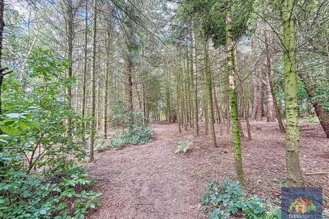 Woodland