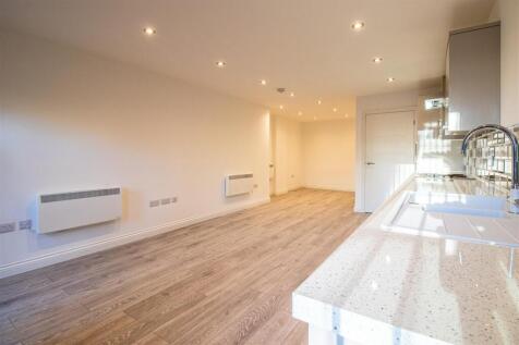 Lounge/Kitchen/Bedroom