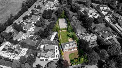 Plot Photo