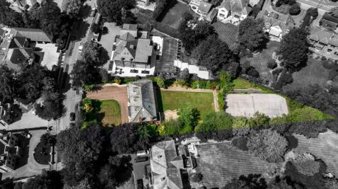 Plot Photo