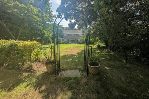 garden 3.jpg