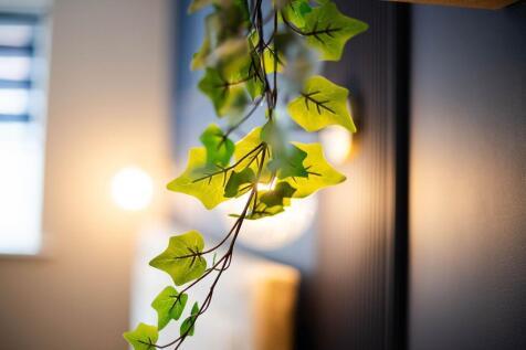 TheBay_Room2-20.jpg