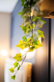 TheBay_Room2-21.jpg