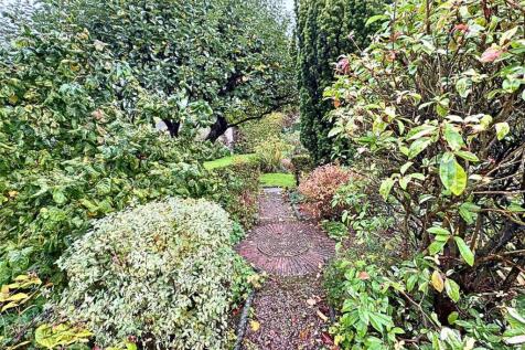 PHOTO-2025-10-21-14-03-06 5.jpg