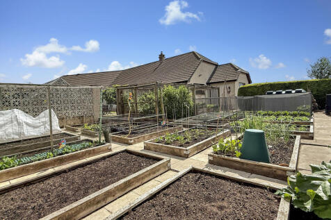 Vegetable Garden