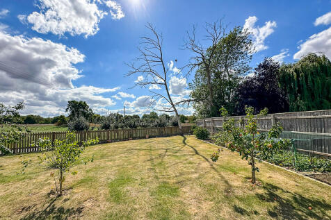 Rear garden (5)
