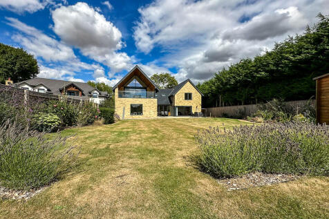 Rear garden (8)