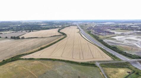 WhatsApp Image 2025-11-11 at 10.38.48 AM.jpeg