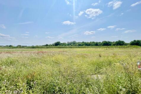 Field Views.jpg