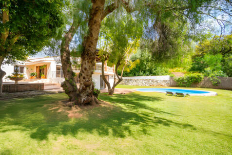 Property Image 42