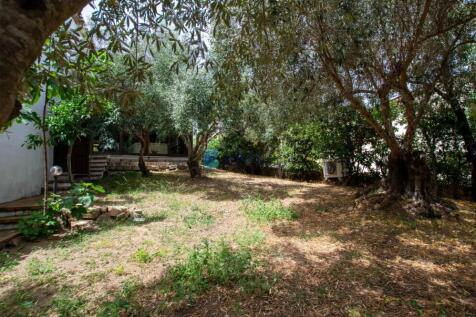 Property Image 51