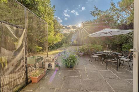 Extensive Patio