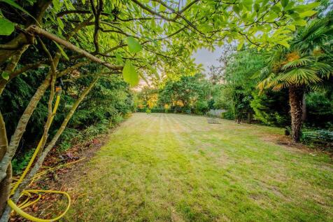 Well Kept Lawn