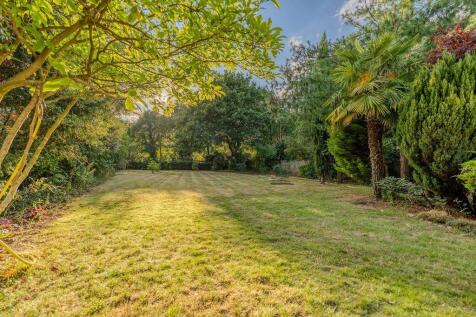 Extensive rear Garden