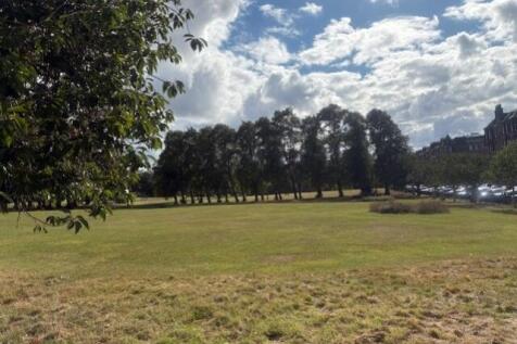 HarrisonPark_BlueSky