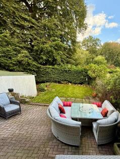 back garden