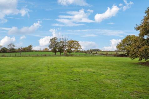 DSC06812-b8aa3cc15b11f60713b00e01d2c9a66c - 800px.