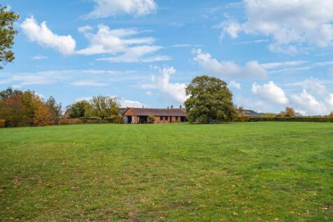 DSC06817-85bff3f06361d952aa38e342b5f790a4 - 800px.