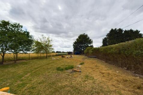 Meadow pic 1.jpg