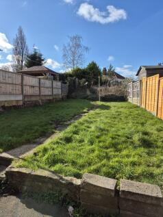 Back Garden