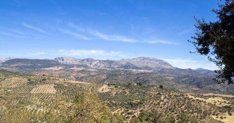COL2505CH---view-6
