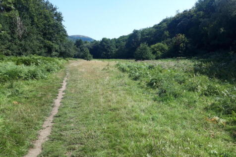 country park photo.jpg
