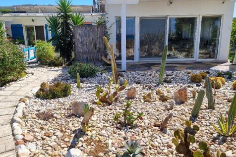 Cactus garden