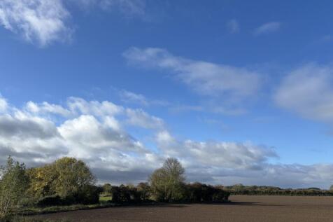 poppy fields view image 2
