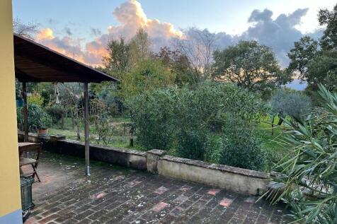 Terrace (Apt GF)
