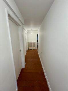 IMG_8447.jpeg
