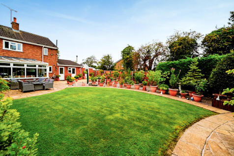 The Garden 