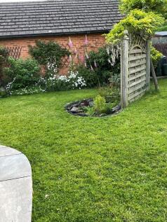 Garden Pond 