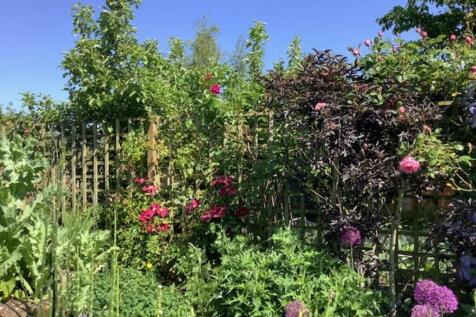 Courtesy of selle...