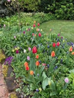 Courtesy of selle...