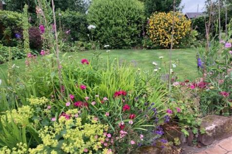 Courtesy of selle...