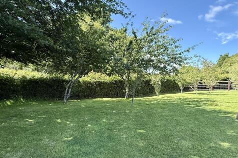 IMG_0020.jpeg