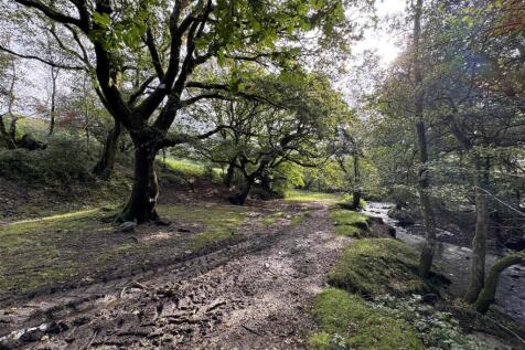 WOODLAND
