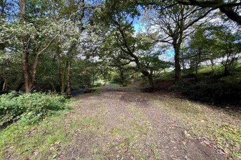WOODLAND