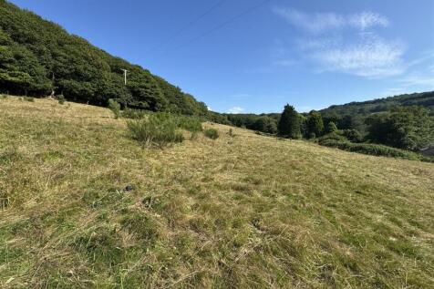 IMG_7187.jpeg