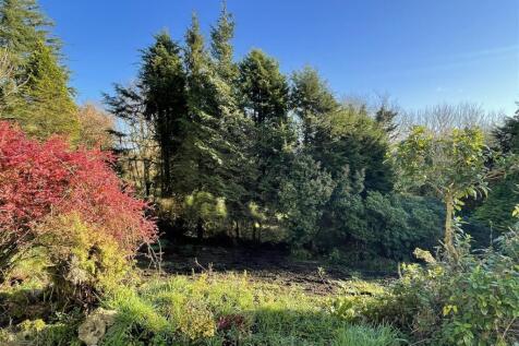 GROUNDS