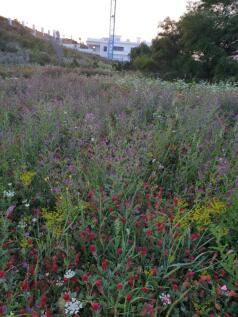 f833affc-0a7b-42e7-b