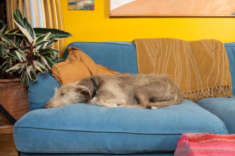 Flat 3, 103 Greenbank Road, BS5-1.jpg