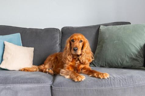 4W0CSI - Sitting Room D.jpg