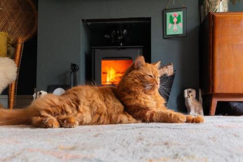 1N5R0SA - Living Room D.jpg