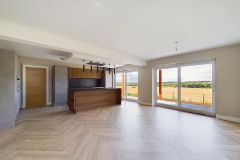 Kitchen/Living Area