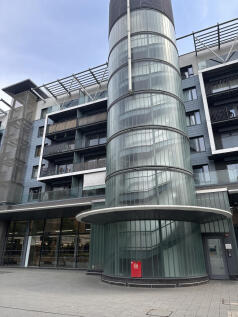 IMG 1230 T202508181812 T202511121605.jpg