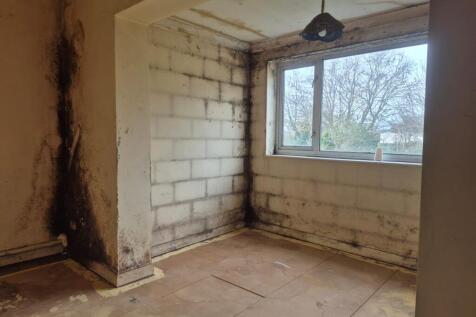 0771778A-A0A7-4C6F-B896-ADEB54682BAB T202511281131.jpg