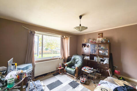 IMG 6600 T202510261902.jpg