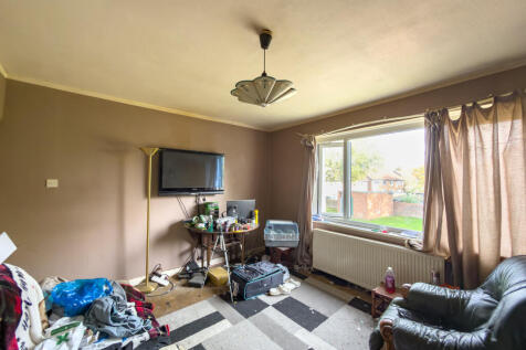 IMG 6597 T202510261902.jpg