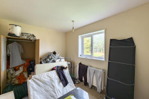 IMG 6609 T202510261902.jpg